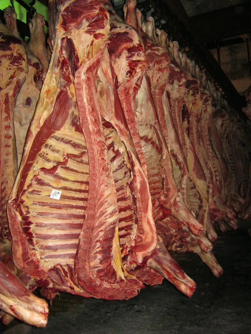 Фотография продукта Мясо коров 1 категории  Алтай