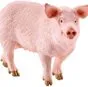 свиньи живым весом  в Абакане и Хакасии